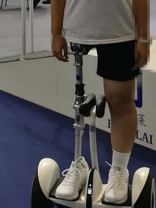恩德萊四連桿髖關節